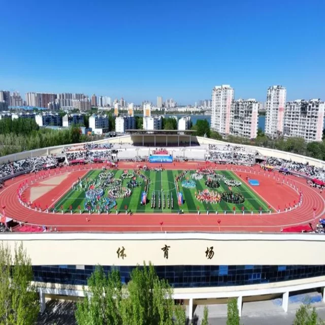 球队名单变化全解析:赛程视角下的第219组新挑战 专稿第12218期